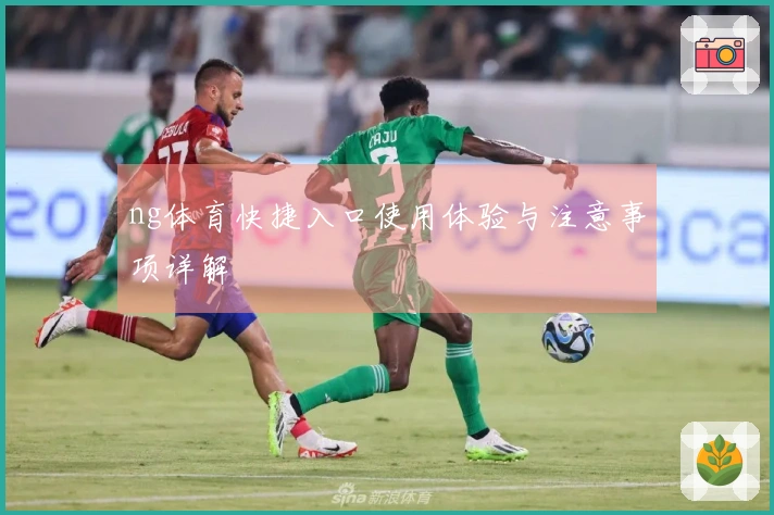 ng体育快捷入口使用体验与注意事项详解