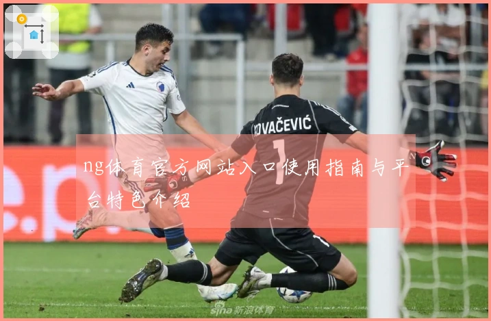 ng体育官方网站入口使用指南与平台特色介绍