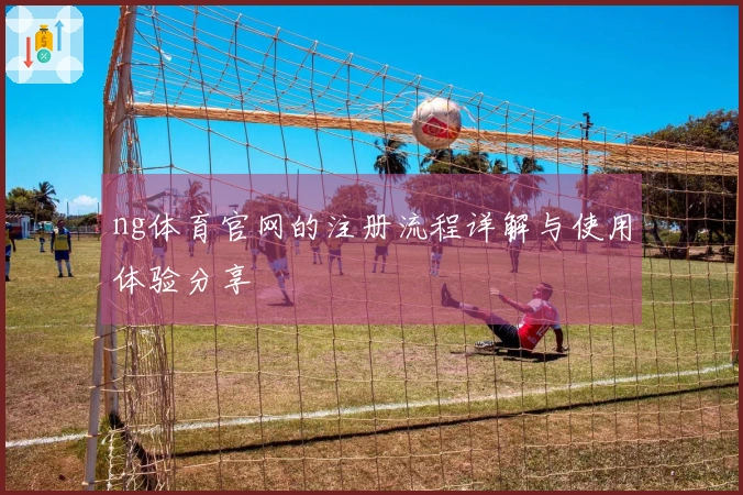 ng体育官网的注册流程详解与使用体验分享