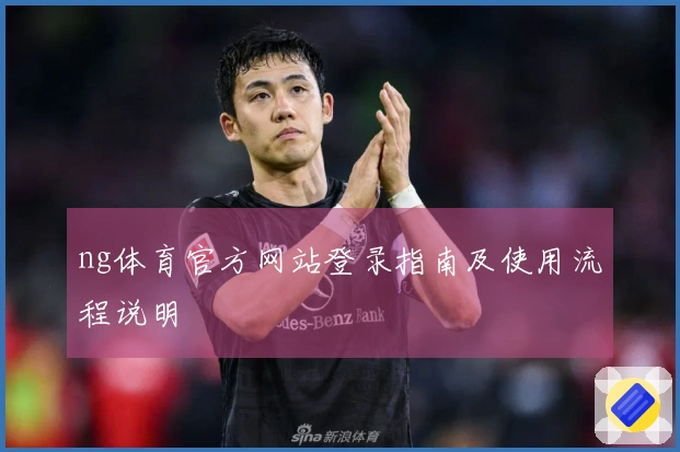 ng体育官方网站登录指南及使用流程说明