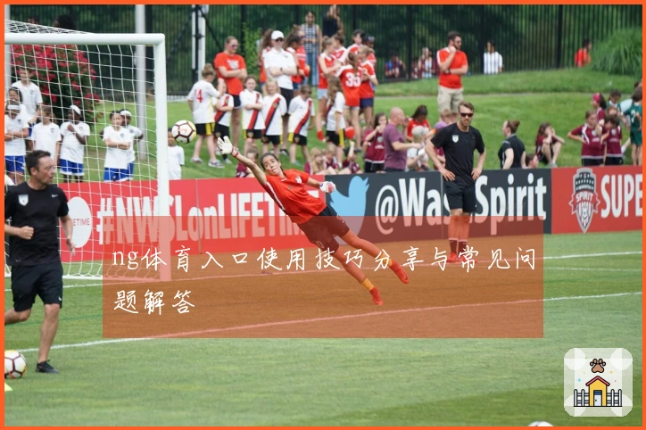 ng体育入口使用技巧分享与常见问题解答