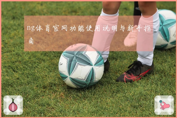 ng体育官网功能使用说明与新手指南