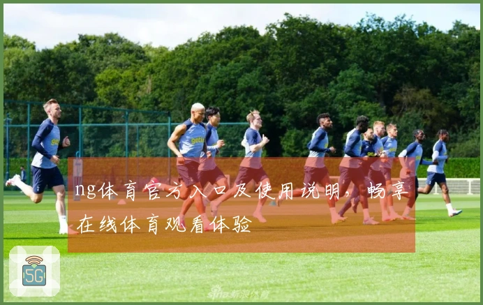ng体育官方入口及使用说明，畅享在线体育观看体验