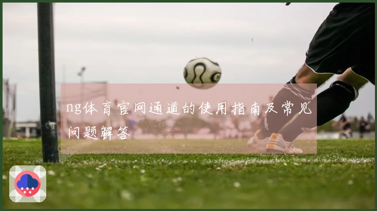 ng体育官网通道的使用指南及常见问题解答