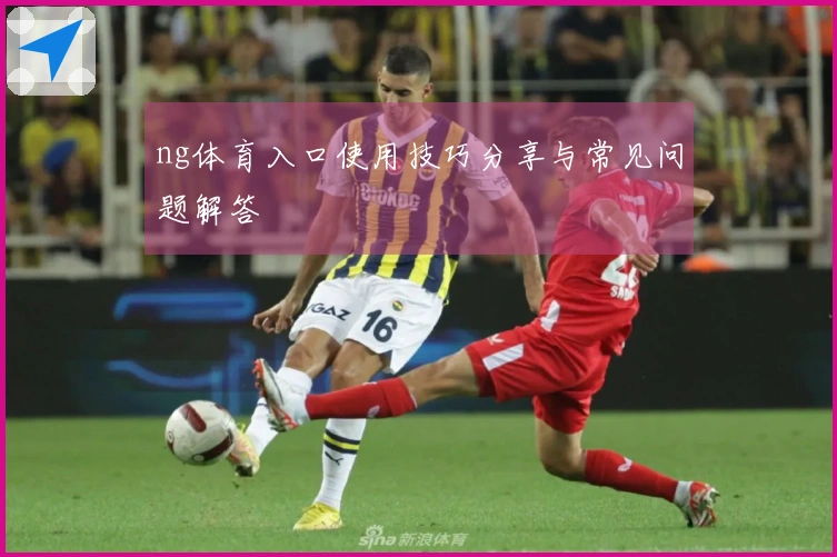 ng体育入口使用技巧分享与常见问题解答