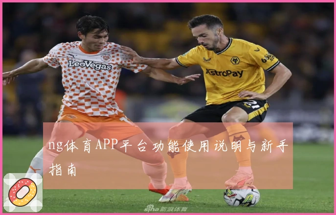 ng体育APP平台功能使用说明与新手指南