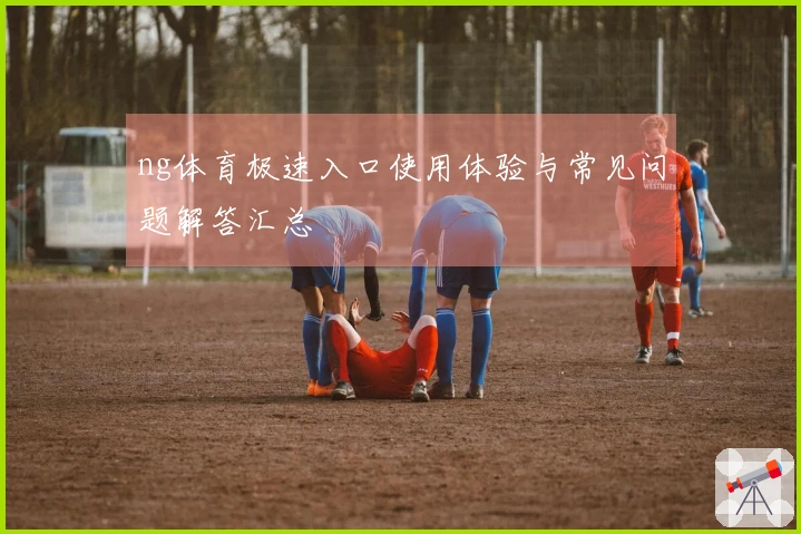 ng体育极速入口使用体验与常见问题解答汇总