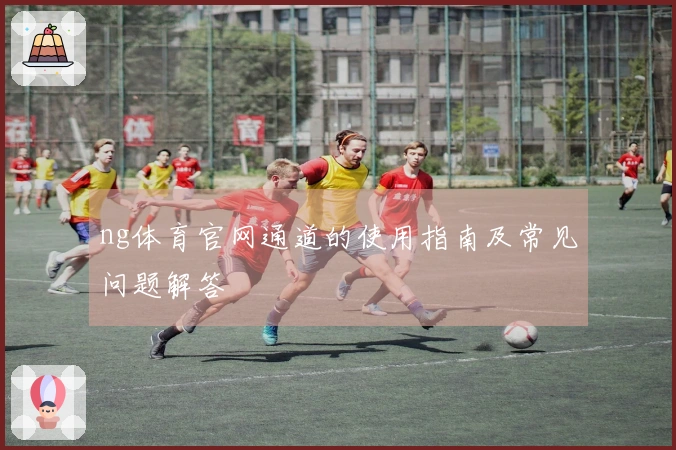 ng体育官网通道的使用指南及常见问题解答